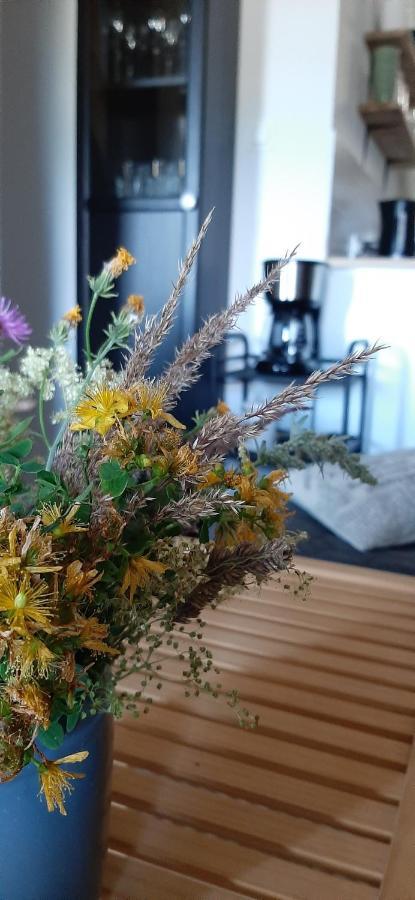Apartament Czar-Now Czarnow  エクステリア 写真