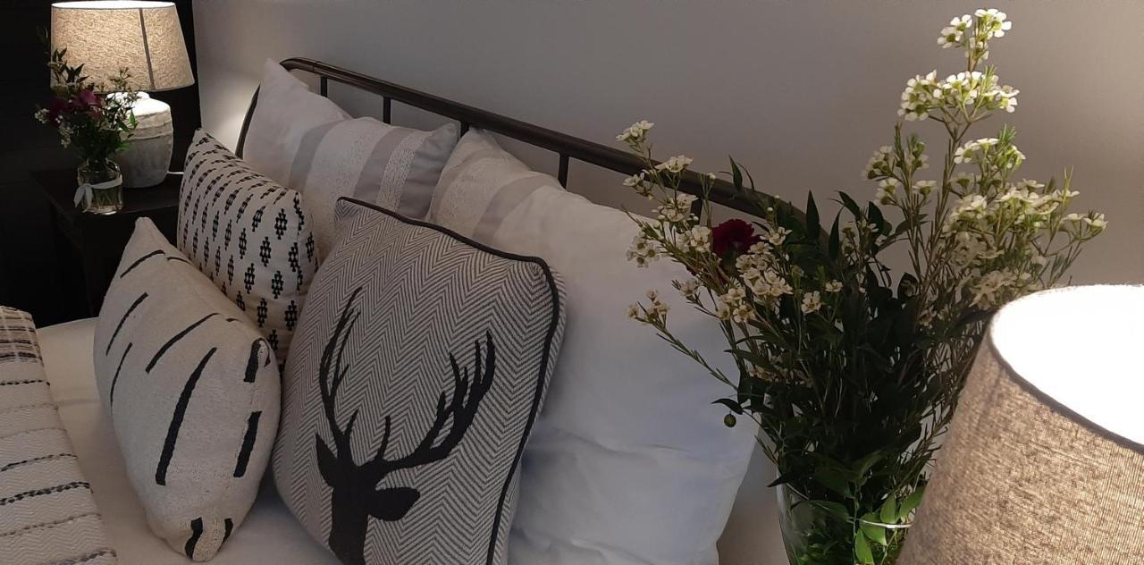 Apartament Czar-Now Czarnow  エクステリア 写真
