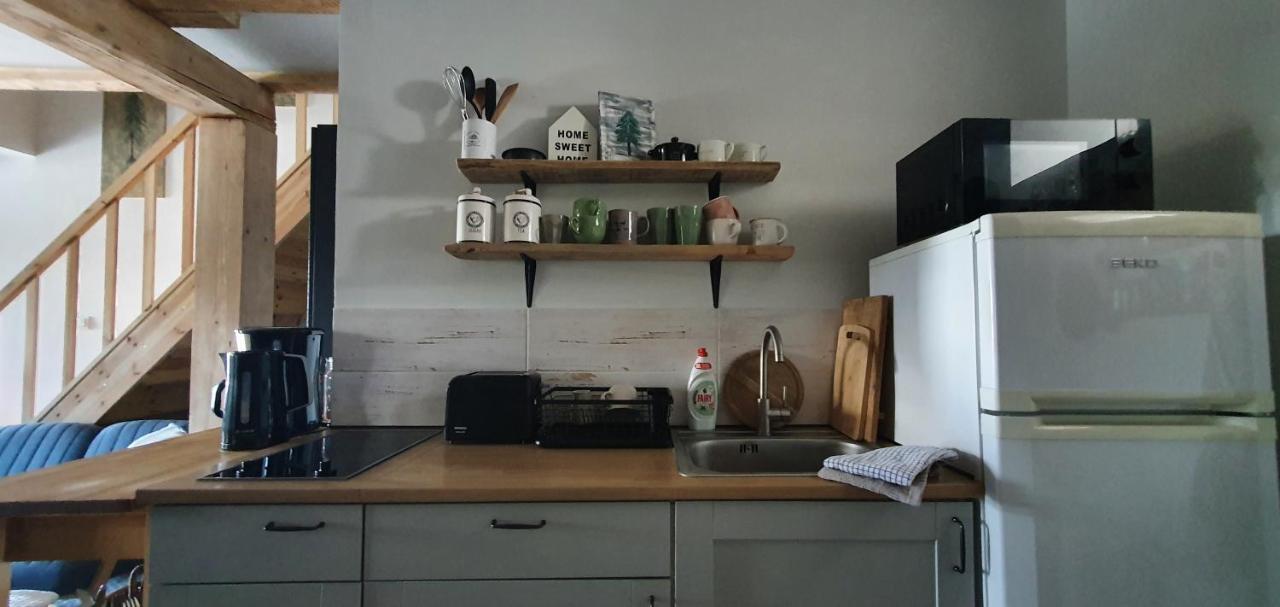 Apartament Czar-Now Czarnow  エクステリア 写真